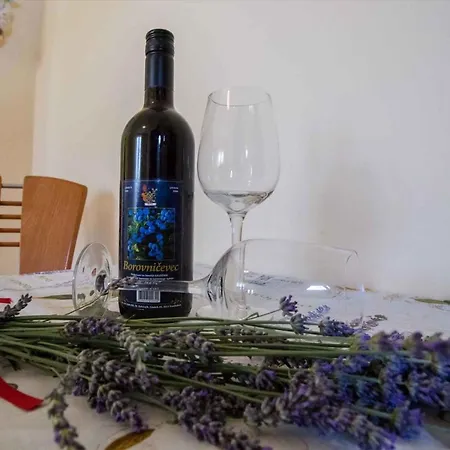 In 16064 Apartman